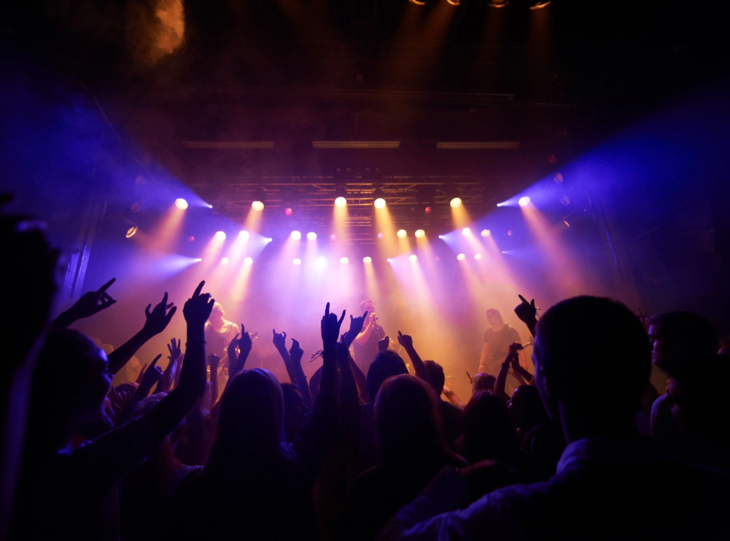 Concert crowd enjoying live music